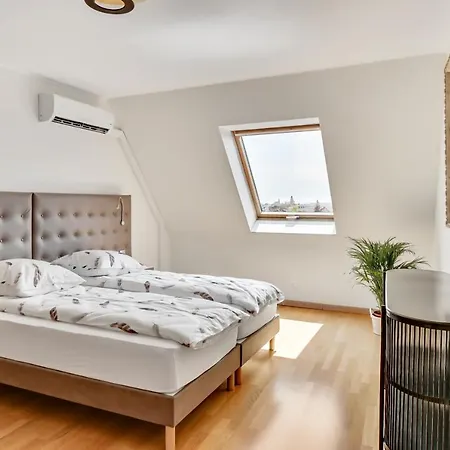 Le Saint-eloi Luxury Private Parking With Ac 6 Pers Old Town Apartamento Colmar