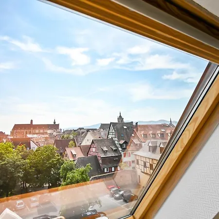 Le Saint-eloi Luxury Private Parking With Ac 6 Pers Old Town Colmar