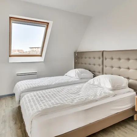 Le Saint-eloi Luxury Private Parking With Ac 6 Pers Old Town * 科尔马