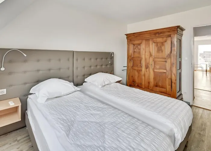 公寓 Le Saint-eloi Luxury Private Parking With Ac 6 Pers Old Town 科尔马