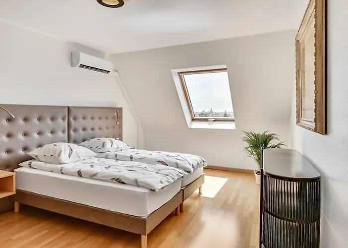 Le Saint-eloi Luxury Private Parking With Ac 6 Pers Old Town 公寓 科尔马